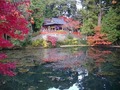 池越しの高鴨神社