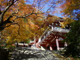 拝殿と楼門