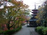 本長谷寺と五重塔