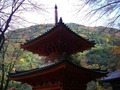 多宝塔2