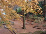 杉村公園6