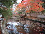 五條市 大澤寺 紅葉1