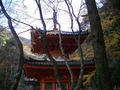 多宝塔1