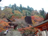 桜井市・多武峰の紅葉4