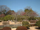 屋敷山公園1
