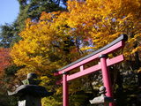登り口の鳥居