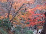 延命寺4