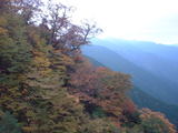 スカイラインの紅葉8