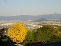 裏山から奈良盆地