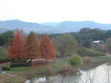 上野公園