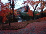 弘川寺1