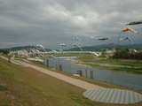 川原のこいのぼり