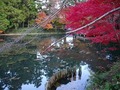 池の紅葉