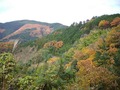 峠近く