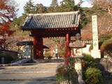 観心寺1