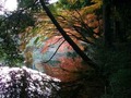 池に映った紅葉