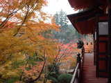 桜井市・多武峰の紅葉3