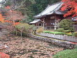 五條市 大澤寺 紅葉3