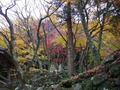 大威徳寺境内