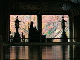 本堂内部からの紅葉1