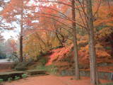 杉村公園5