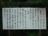 小説「紀ノ川」より