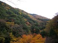 山の紅葉