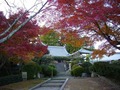 九品寺