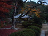弘川寺2