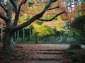 裏山の千体仏
