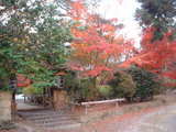 吉祥寺1