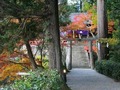 高鴨神社神域